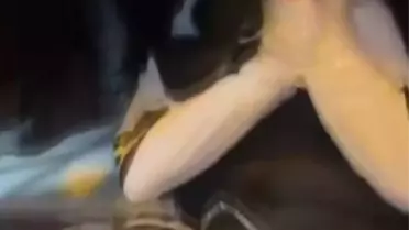 Elleri ve ayakları bantlanarak akranları tarafından darbedildi