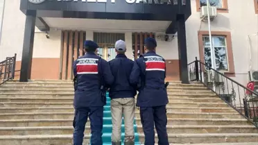 Köpekleri Vururken Sahibine Ateş Etti