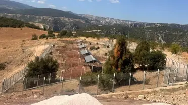 Milyonluk Sokak Hayvanları Doğal Yaşam Alanı ortada kaldı