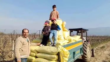 Sarıgöl'de Üzüm Bağlarında Kış Gübresi Çalışmaları Başladı