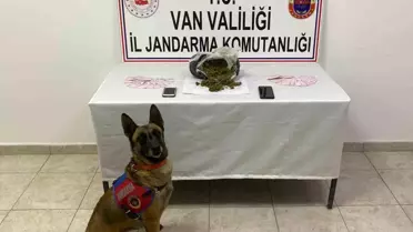 Van'da 1 Kilo Skunk Ele Geçirildi