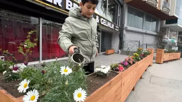 Çiçek Hırsızlığı Güvenlik Kamerasında