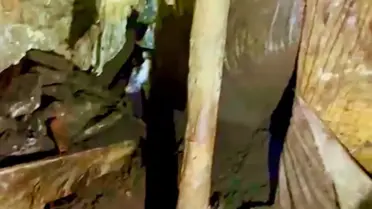 Ahır Çöktü, 2 Büyükbaş Hayvan Öldü