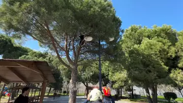Ağaçta Mahsur Kalan Genç Kurtarıldı