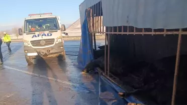 Bitlis'te Buzlanma Kazası: 1 Yaralı, 10 Hayvan Ölü