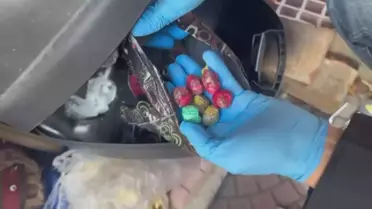 Maltepe'de Uyuşturucu Operasyonu