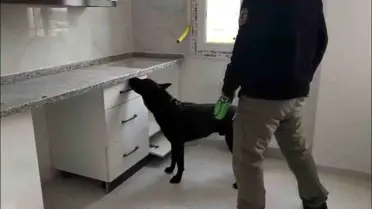 Adana'da Uyuşturucu Operasyonu: 72 Bin Hap Ele Geçirildi