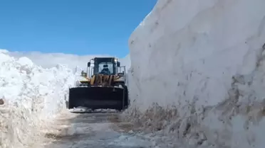 Bitlis'teki Çığ ve Heyelanlar Kapanan Yolları Açtı