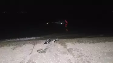 Otomobil İznik Gölü'ne Uçtu: Sürücü Yaralı