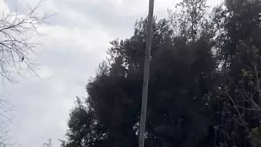 Leylek Yuvası İçin Çağrı