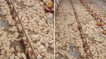 Yeni işe soyunan genç, sabah uyanınca hayatının şokunu yaşadı