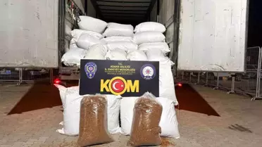 Adana'da 3 Ton Kaçak Tütün Ele Geçirildi