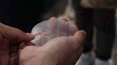 Datça'da Mikroplastik Kirliliği Tespit Edildi