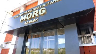 Elazığ'da motosikletin çarptığı yaya hayatını kaybetti