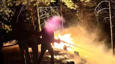 Hatay'da korkutan orman yangını