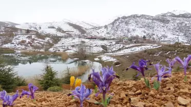 Toros Dağları'nda İlkbahar Güzellikleri