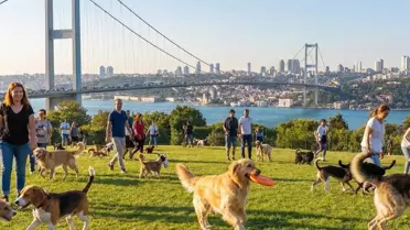 Zengin semtinde yaptığı işten 150 bin lira kazanıyor: Okumayın, iş kovalayın