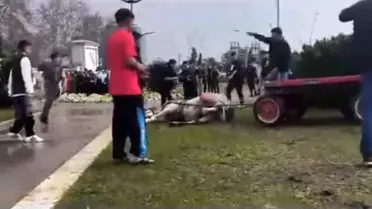 Adana'da atı döven kişi tepki topladı