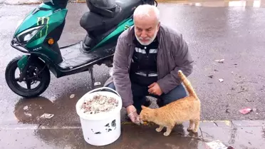Acu, Bayramda Sokak Hayvanlarını Besledi