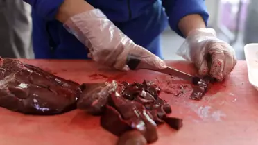 Kebapçı Abla, Yelda Güler'in Başarı Hikayesi