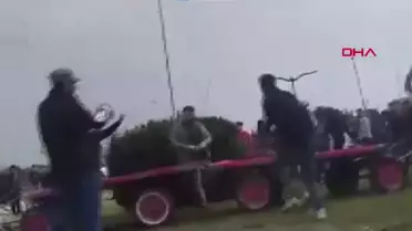 Sahibinin, koşmadığı için dövdüğü at bayıldı