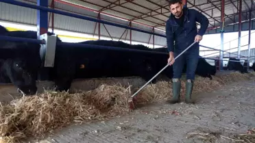Halil Ateş, Hayvancılıkla Yeniden Doğuyor