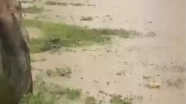 Adana'da Kar ve Sağanak Yağış