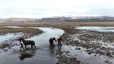 Kayseri'de At Safari Kazası