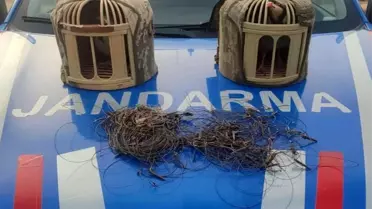 Kırşehir'de Kaçak Keklik Avına 2 Tutuklama