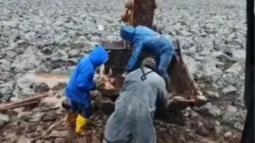 Şanlıurfa'da çamura saplanan inek kepçe yardımıyla kurtarıldı