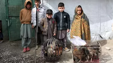 3 Milyon Afgan Mülteci Ülkesine Döndü