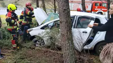 Balıkesir'de Otomobil Ormana Uçtu