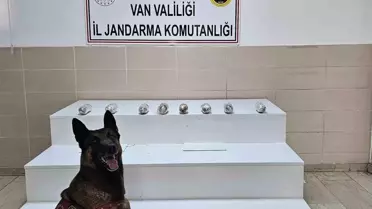 Van'da 1,2 Kilogram Esrar Ele Geçirildi