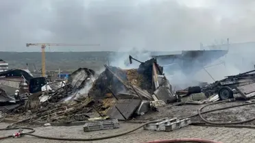 Dilovası'ndaki Ahır Yangını: 460 Hayvan Telef Oldu