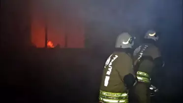 Edirne'de Yangında 3 Köpek Öldü