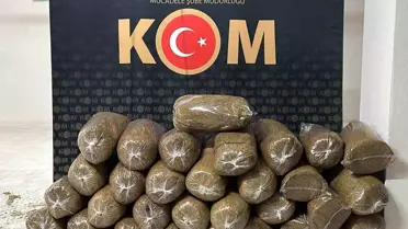 Kırşehir'de 200 Kilogram Kaçak Tütün Ele Geçirildi