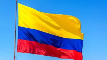 Kolombiya'da Askeri Uçak Düştü