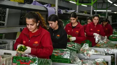 Antalya Hali, 64 Ülkeye Günlük 3 Bin Ton Sebze İhraç Ediyor