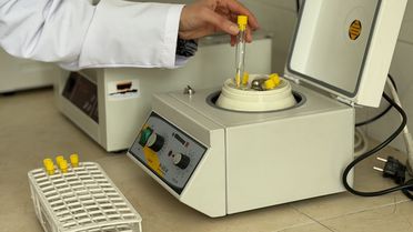 Ankara Üniversitesi'nde Hayvan Genetiği Araştırmaları