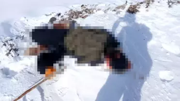 İran sınırında erkek cesedi bulundu