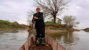 Yerli Robinson'un Geri Dönüşü