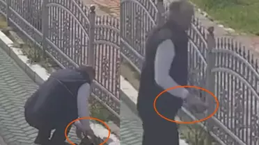 Kocaeli'de tramvay hattında sevgi dolu duraklama: Vatmandan kaplumbağaya yardım eli