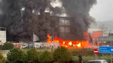 Trabzon'da Fındık Fabrikası Yangını
