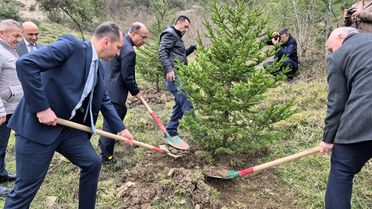 Bartın'da Fidan Dikimi