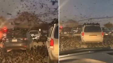 Neler oluyor? Tel Aviv'den servis edilen yeni görüntü ses getirdi