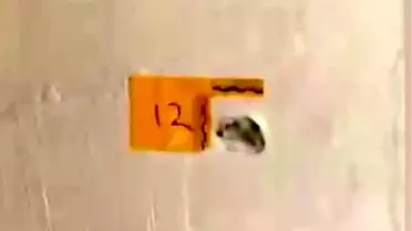 Adana'da Polis Kılığında Silahlı Saldırı