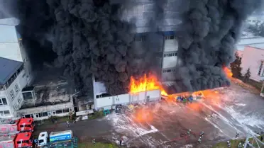 Trabzon'da Fındık Fabrikasında Yangın