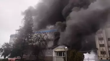 Trabzon'da Fındık Fabrikasında Yangın