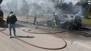 Antalya'da Otomobil Yangını: Kedi Son Anda Kurtarıldı