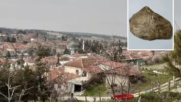 Baklan'da milyonlarca yıllık deniz yıldızı fosili bulundu